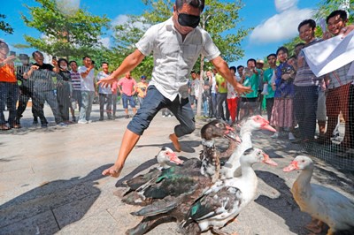 陵水：農(nóng)民技能趣味大賽，讓農(nóng)民們樂開了花
