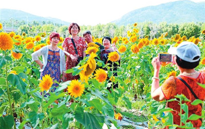 三亞花卉產(chǎn)業(yè)發(fā)展欣欣向榮，助推鄉(xiāng)村振興
