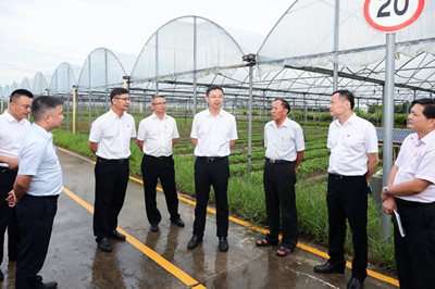 劉沖：提高基地農(nóng)業(yè)現(xiàn)代化水平，提高農(nóng)業(yè)產(chǎn)業(yè)收入
