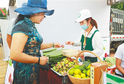 中國農民豐收節(jié)海南會場舉辦農民趣味運動會美食展